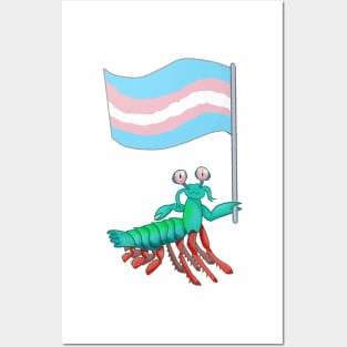 Mantis Shrimp Transgender Pride! Posters and Art